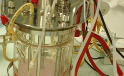 BioProcess Center Bordeaux , l'expertise en bioproduction